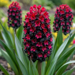 Гиацинт Джем Стоун купить по цене от 2099р. в интернет-магазине «Посадика» с доставкой почтой в в Владимире и по всей России – [изображение №1].